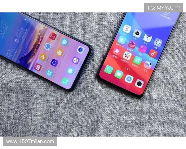 K1体育平台：全面解析其独特的用户体验与功能